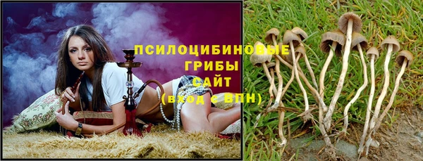 прущая мука Бородино