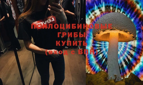 дмт Верея