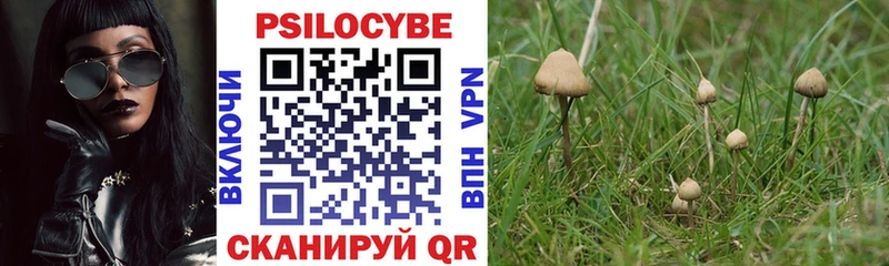 Галлюциногенные грибы GOLDEN TEACHER  даркнет формула  Вяземский  закладки 